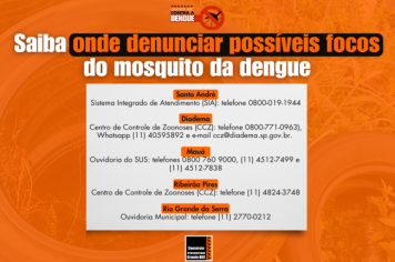 Saiba onde os moradores do Grande ABC podem denunciar possíveis focos do mosquito da dengue