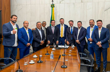 Consórcio ABC leva demandas da região a Brasília